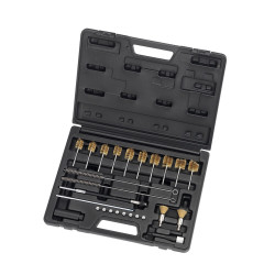 JOGO PARA LIMPAR CAMARA DE INJETORES DIESEL - 26 PCS